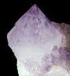 Amethyst Crystal - South Africa #47186-1